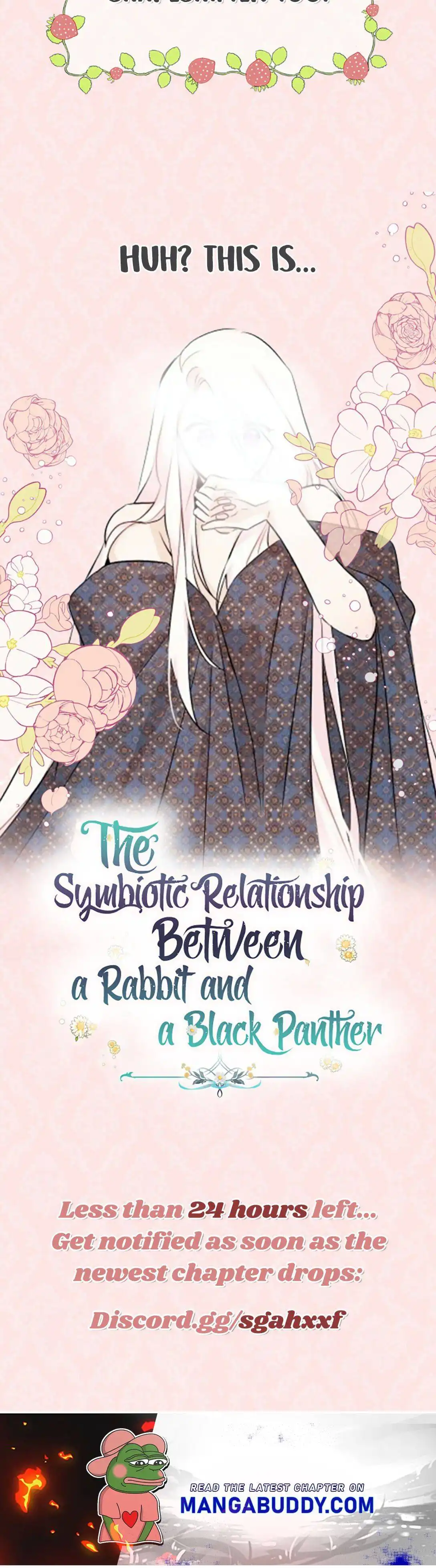 The Symbiotic Relationship Between a Panther and a Rabbit Chapter 44.5 12